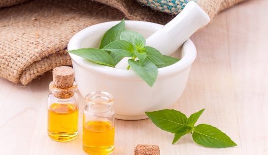 Vasi da tradizione: quante tipologie esistono?