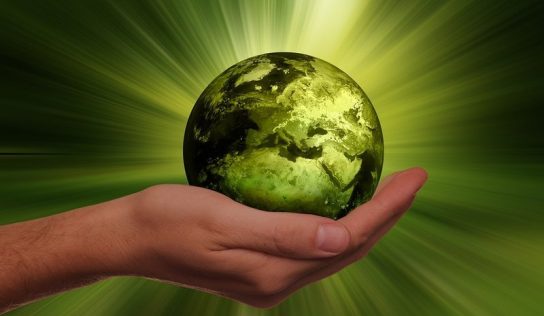 Le industrie più sostenibili del mondo