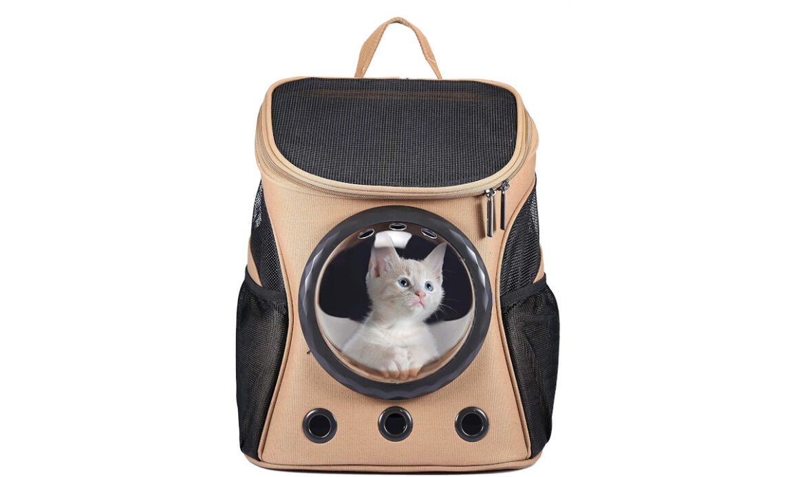 Tutti in vacanza con lo zainetto trasparente per cani