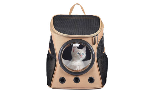 Tutti in vacanza con lo zainetto trasparente per cani