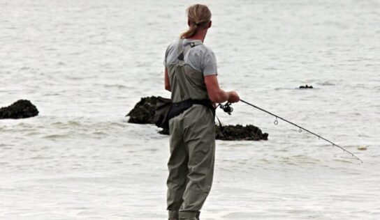Tipologie di canna da pesca